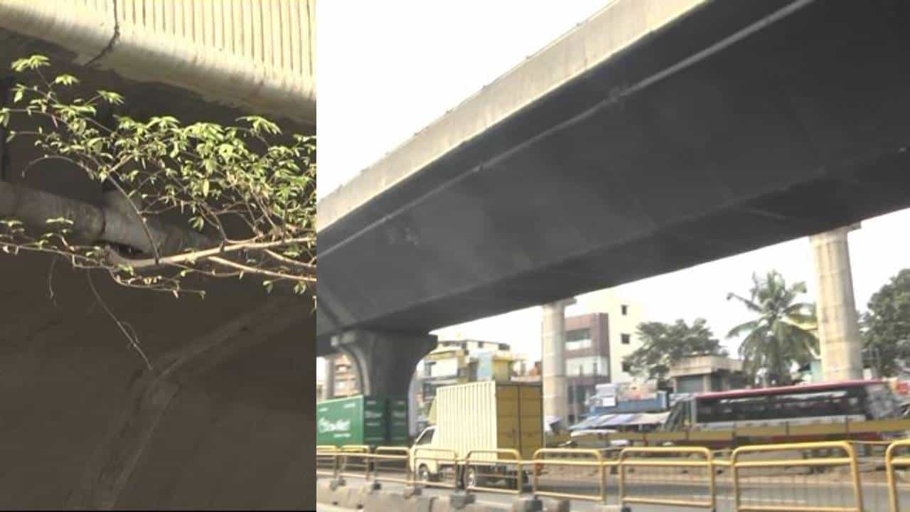 ಬೆಂಗಳೂರಿನ ತುಮಕೂರು ರಸ್ತೆಯ ಫ್ಲೈಓವರ್ಗೆ ಮತ್ತೊಂದು ಕಂಟಕ: ಭಾರಿ ಗಾತ್ರದ ಗಿಡಗಳು ಬೆಳೆದು ಬಿರುಕು ಬೆಂಗಳೂರಿನ ತುಮಕೂರು ರಸ್ತೆಯ ಫ್ಲೈಓವರ್ಗೆ ಮತ್ತೊಂದು ಕಂಟಕ: ಭಾರಿ ಗಾತ್ರದ ಗಿಡಗಳು ಬೆಳೆದು ಬಿರುಕು