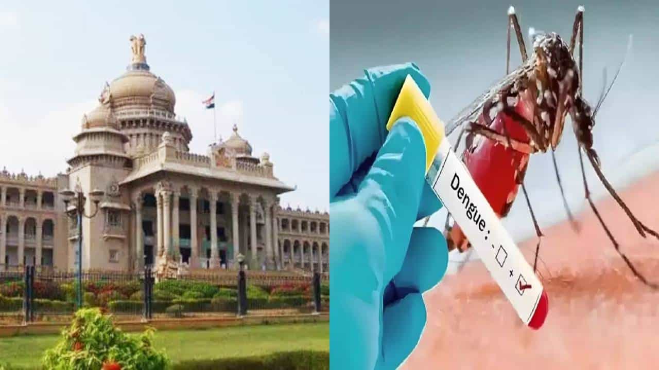 ಡೆಂಗ್ಯೂವನ್ನು ‘ಸಾಂಕ್ರಾಮಿಕ ಕಾಯಿಲೆ’ ಎಂದು ಘೋಷಿಸಿದ ಸರ್ಕಾರ: ಸ್ವಚ್ಛತೆ ಕಾಪಾಡದವರಿಗೆ ದಂಡ ಡೆಂಗ್ಯೂವನ್ನು ‘ಸಾಂಕ್ರಾಮಿಕ ಕಾಯಿಲೆ’ ಎಂದು ಘೋಷಿಸಿದ ಸರ್ಕಾರ: ಸ್ವಚ್ಛತೆ ಕಾಪಾಡದವರಿಗೆ ದಂಡ