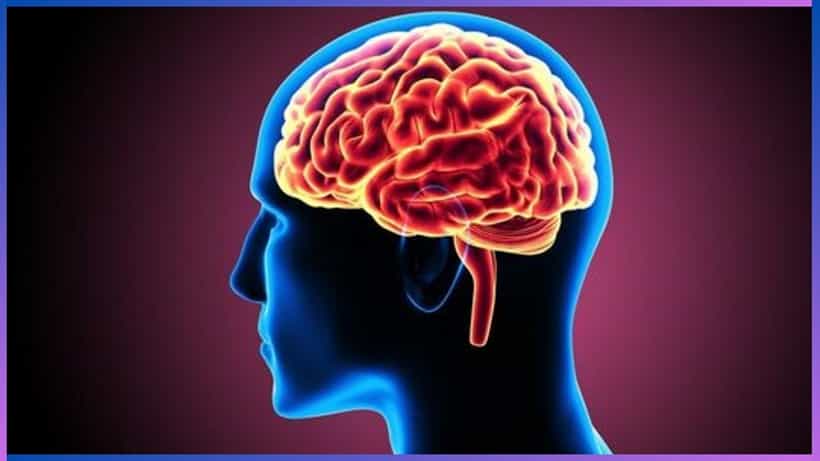 Superfoods for Brain Health: ಮೆದುಳು ಕಂಪ್ಯೂಟರ್ಗಿಂತ ವೇಗವಾಗಿ ಕೆಲಸ ಮಾಡಬೇಕಾದರೆ ಈ ಆಹಾರ ಸೇವನೆ ಮಾಡಿ