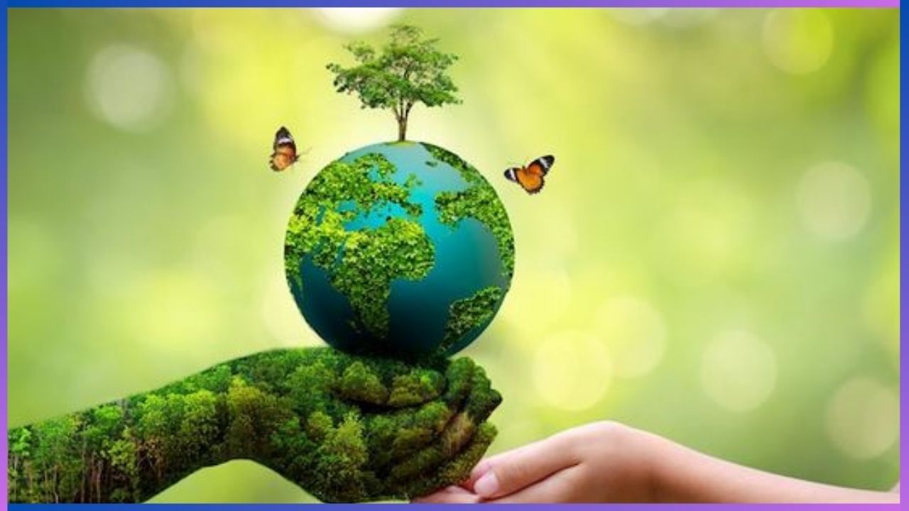 World Environmental Health Day 2024 : ಸುಸ್ಥಿರ ಜೀವನಕ್ಕಾಗಿ ಪರಿಸರವನ್ನು ಸಂರಕ್ಷಿಸುವುದು ಹೇಗೆ? ಇಲ್ಲಿದೆ ಸಲಹೆಗಳು