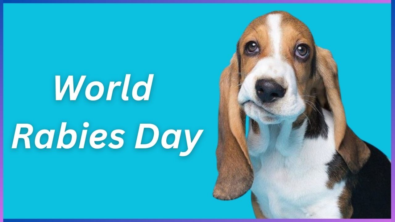 World Rabies Day 2024: ವಿಶ್ವ ರೇಬೀಸ್ ದಿನವನ್ನು ಏಕೆ ಆಚರಣೆ ಮಾಡಲಾಗುತ್ತದೆ? ಈ ದಿನದ ಇತಿಹಾಸ ಇಲ್ಲಿದೆ