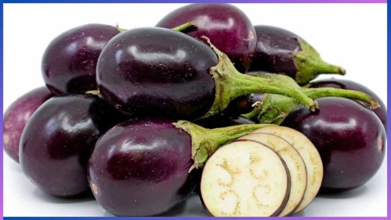 Brinjal Side Effects: ಈ ಐದು ರೋಗ ಇರುವವರು ಬದನೇಕಾಯಿ ಸೇವನೆ ಮಾಡಬಾರದು Brinjal Side Effects: ಈ ಐದು ರೋಗ ಇರುವವರು ಬದನೇಕಾಯಿ ಸೇವನೆ ಮಾಡಬಾರದು