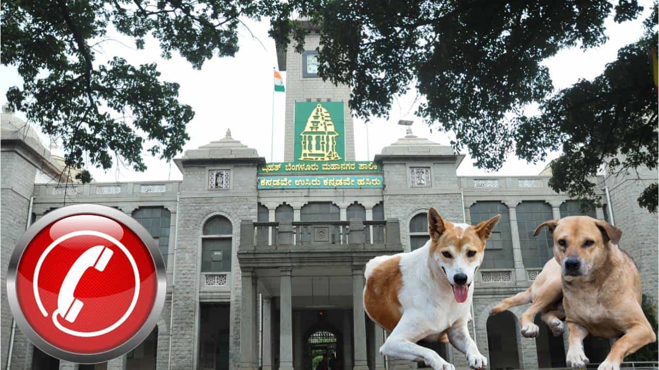 ಬೆಂಗಳೂರಿನ ಬೀದಿನಾಯಿಗಳ ಕಾಟ: ಟಿವಿ9 ಅಭಿಯಾನ ಬೆನ್ನಲ್ಲೇ ಸಹಾಯವಾಣಿ ಬಿಡುಗಡೆ ಮಾಡಿದ ಬಿಬಿಎಂಪಿ ಬೆಂಗಳೂರಿನ ಬೀದಿನಾಯಿಗಳ ಕಾಟ: ಟಿವಿ9 ಅಭಿಯಾನ ಬೆನ್ನಲ್ಲೇ ಸಹಾಯವಾಣಿ ಬಿಡುಗಡೆ ಮಾಡಿದ ಬಿಬಿಎಂಪಿ