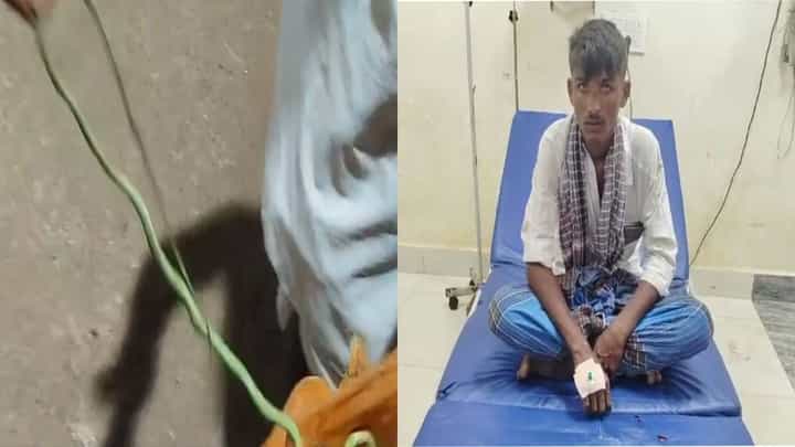 ಹುಬ್ಬಳ್ಳಿ: ಕಚ್ಚಿದ ಹಾವಿನೊಂದಿಗೆಯೇ ಆಸ್ಪತ್ರೆಗೆ ಬಂದ ಯುವಕ; ಮುಂದೆನಾಯ್ತು? ಹುಬ್ಬಳ್ಳಿ: ಕಚ್ಚಿದ ಹಾವಿನೊಂದಿಗೆಯೇ ಆಸ್ಪತ್ರೆಗೆ ಬಂದ ಯುವಕ; ಮುಂದೆನಾಯ್ತು?
