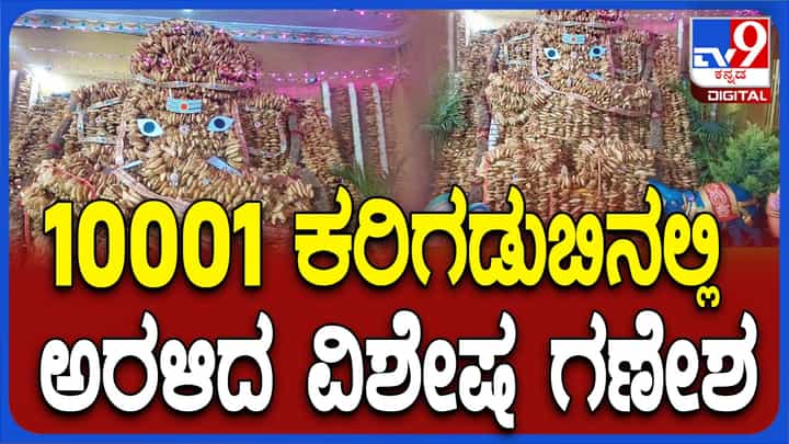 ಕೋಲಾರ: ಸಂಕಷ್ಟಹರ ಗಣಪತಿ ದೇವಾಲಯದಲ್ಲಿ 10,001 ಕರಿಗಡುಬಿನಲ್ಲಿ ಅರಳಿದ ಗಣಪತಿ! ಕೋಲಾರ: ಸಂಕಷ್ಟಹರ ಗಣಪತಿ ದೇವಾಲಯದಲ್ಲಿ 10,001 ಕರಿಗಡುಬಿನಲ್ಲಿ ಅರಳಿದ ಗಣಪತಿ!