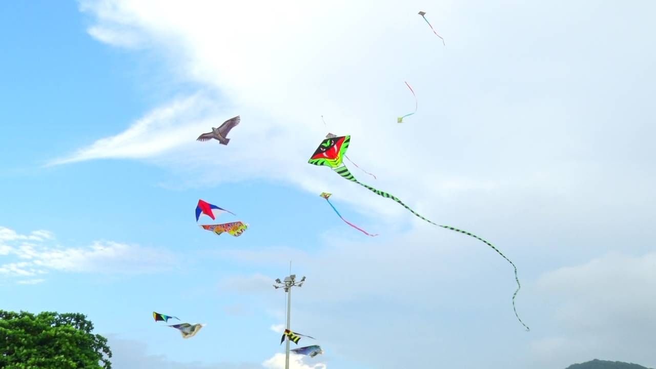 World Tourism Day: Kite Festival in Uttar Kannada Karwar sea bank