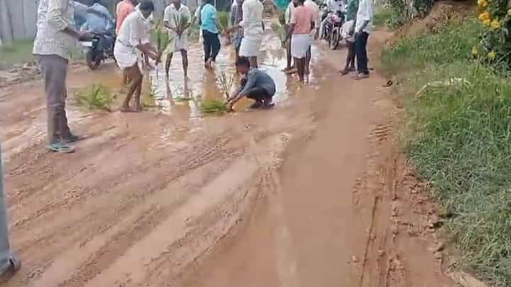 ಕೊಪ್ಪಳ: ಕೆಸರುಮಯವಾದ ರಸ್ತೆ, ಭತ್ತ ನಾಟಿ ಮಾಡಿ ಗ್ರಾಮಸ್ಥರ ಆಕ್ರೋಶ ಕೊಪ್ಪಳ: ಕೆಸರುಮಯವಾದ ರಸ್ತೆ, ಭತ್ತ ನಾಟಿ ಮಾಡಿ ಗ್ರಾಮಸ್ಥರ ಆಕ್ರೋಶ
