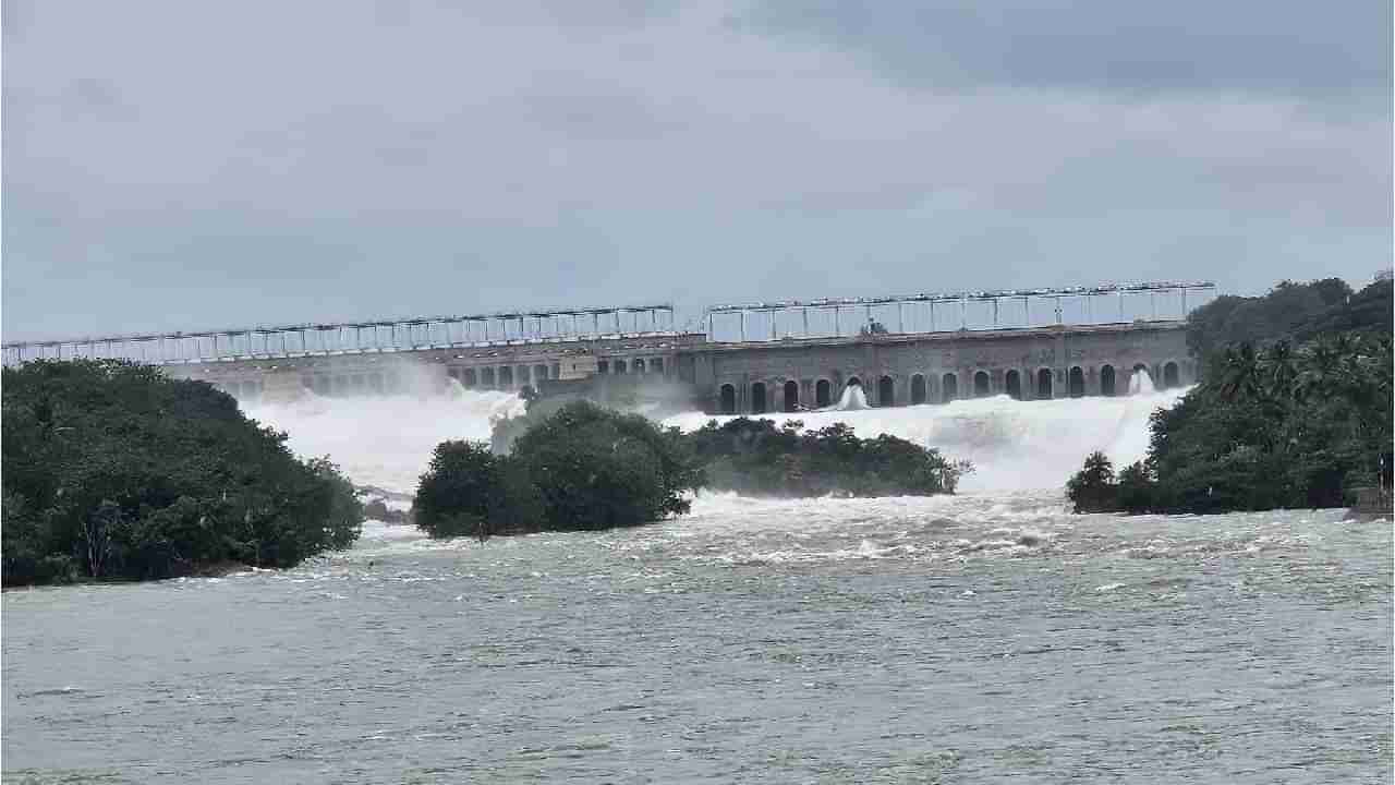 Karnataka Dam Water Level: ಸೆ.01 ರಾಜ್ಯದ 14 ಪ್ರಮುಖ ಜಲಾಶಯಗಳ ನೀರಿನ ಮಟ್ಟ ವಿವರ