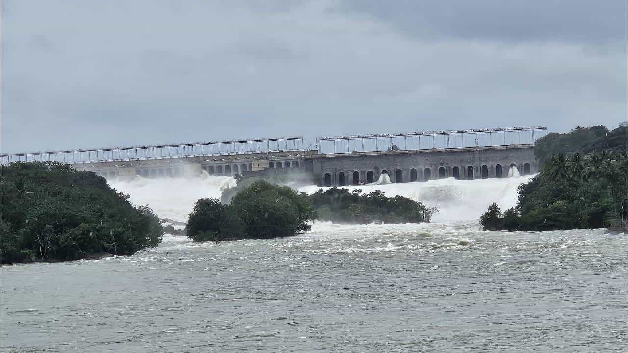 Karnataka Dam Water Level: ಸೆ.01 ರಾಜ್ಯದ 14 ಪ್ರಮುಖ ಜಲಾಶಯಗಳ ನೀರಿನ ಮಟ್ಟ ವಿವರ Karnataka Dam Water Level: ಸೆ.01 ರಾಜ್ಯದ 14 ಪ್ರಮುಖ ಜಲಾಶಯಗಳ ನೀರಿನ ಮಟ್ಟ ವಿವರ