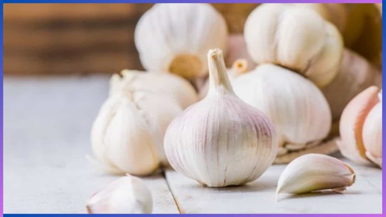 Kitchen Tips : ಬೆಳ್ಳುಳ್ಳಿಯನ್ನು ಹೀಗೆ ಸಂಗ್ರಹಿಸಿಟ್ಟರೆ ತಿಂಗಳಾದ್ರೂ ತಾಜಾವಾಗಿರುತ್ತೆ Kitchen Tips : ಬೆಳ್ಳುಳ್ಳಿಯನ್ನು ಹೀಗೆ ಸಂಗ್ರಹಿಸಿಟ್ಟರೆ ತಿಂಗಳಾದ್ರೂ ತಾಜಾವಾಗಿರುತ್ತೆ