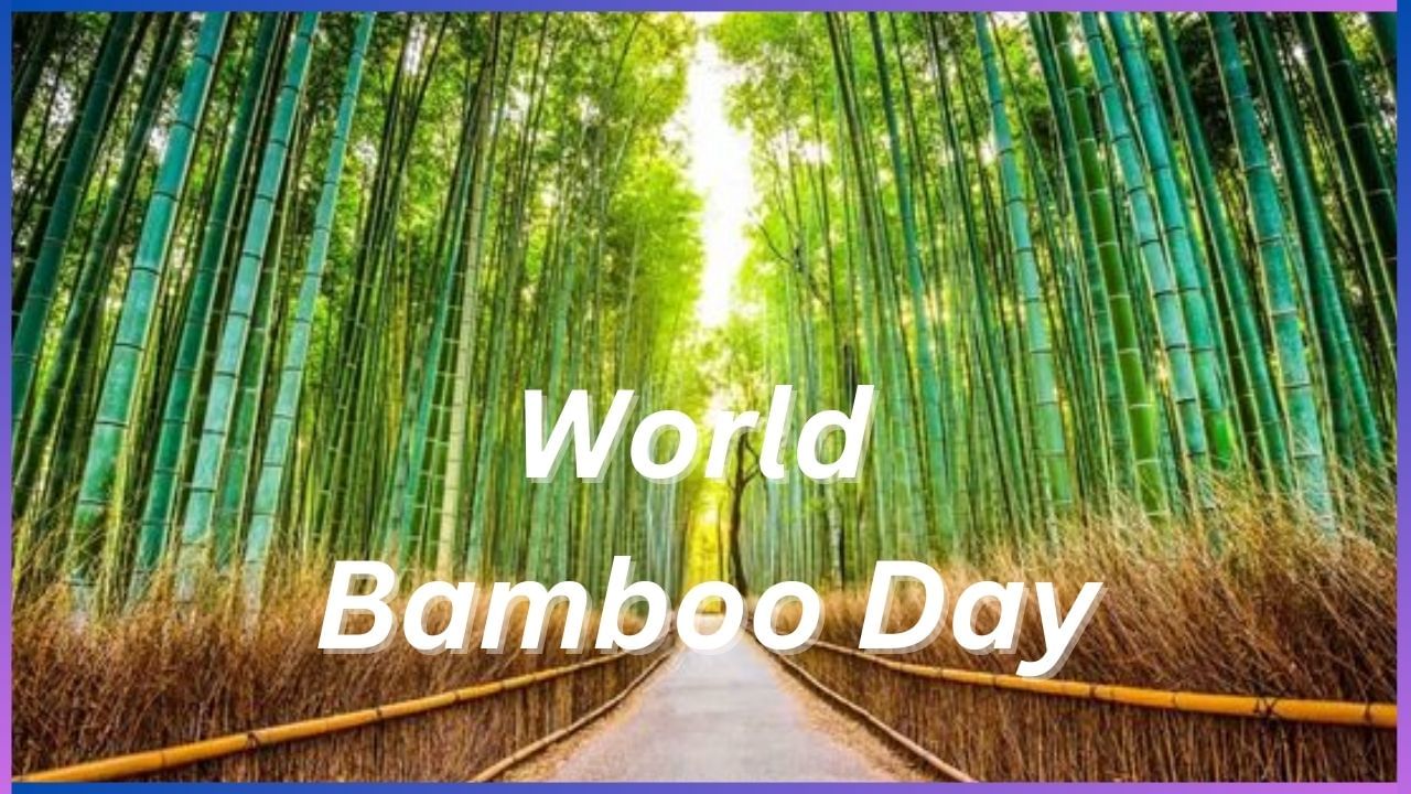 World Bamboo Day 2024 : ನೈಸರ್ಗಿಕ ಸ್ಪರ್ಶ ನೀಡಲು ಬಿದಿರಿನ ಮನೆಯ ವಿನ್ಯಾಸ ಹೀಗಿರಲಿ