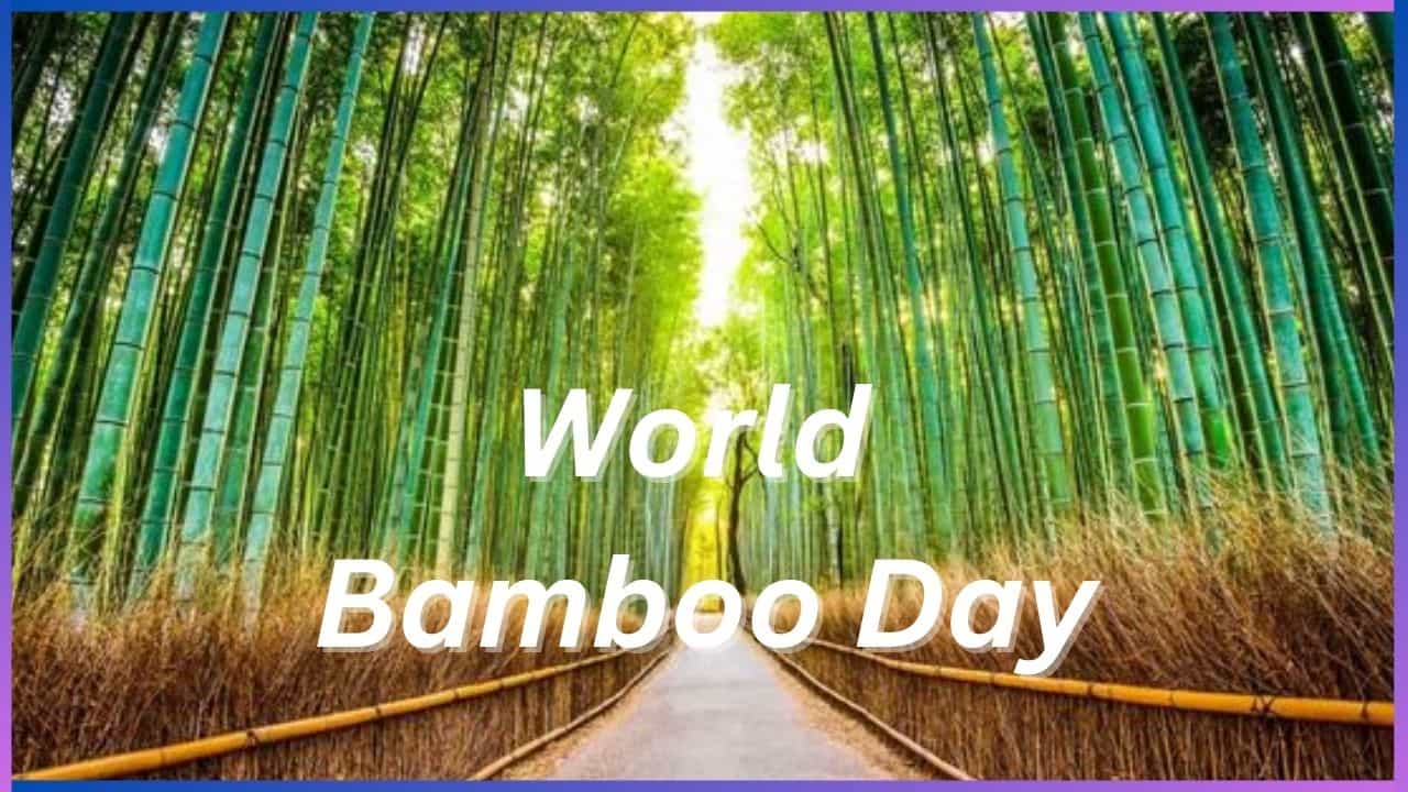 World Bamboo Day 2024 : ನೈಸರ್ಗಿಕ ಸ್ಪರ್ಶ ನೀಡಲು ಬಿದಿರಿನ ಮನೆಯ ವಿನ್ಯಾಸ ಹೀಗಿರಲಿ World Bamboo Day 2024 : ನೈಸರ್ಗಿಕ ಸ್ಪರ್ಶ ನೀಡಲು ಬಿದಿರಿನ ಮನೆಯ ವಿನ್ಯಾಸ ಹೀಗಿರಲಿ