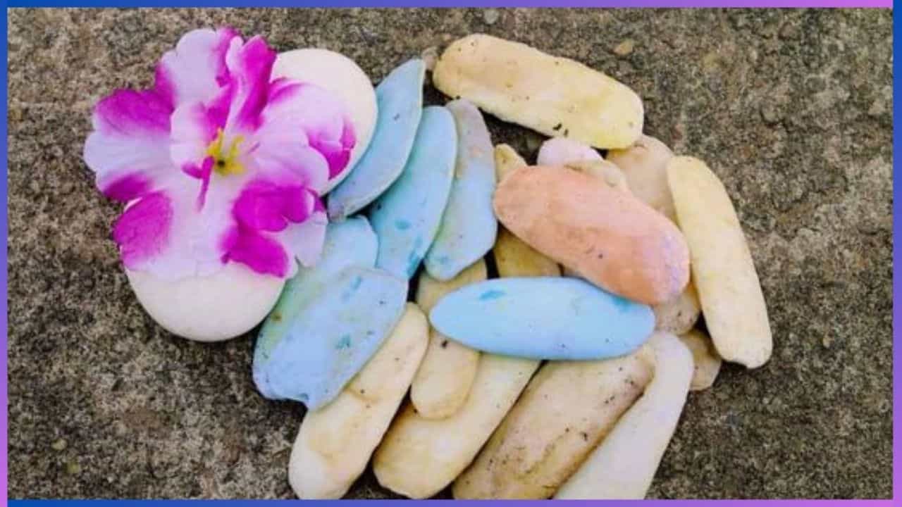Kitchen Hacks: ಸಾಬೂನಿನ ಉಳಿದ ತುಂಡುಗಳನ್ನು ಈ ರೀತಿ ಉಪಯೋಗಿಸಿ Kitchen Hacks: ಸಾಬೂನಿನ ಉಳಿದ ತುಂಡುಗಳನ್ನು ಈ ರೀತಿ ಉಪಯೋಗಿಸಿ