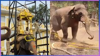 Fridge Maintenance Tips : ಫ್ರಿಡ್ಜ್ ದೀರ್ಘಕಾಲದವರೆಗೆ ಬಾಳಿಕೆ ಬರಬೇಕೇ? ಹಾಗಾದ್ರೆ ಈ ತಪ್ಪುಗಳನ್ನು ಮಾಡಲೇಬೇಡಿ