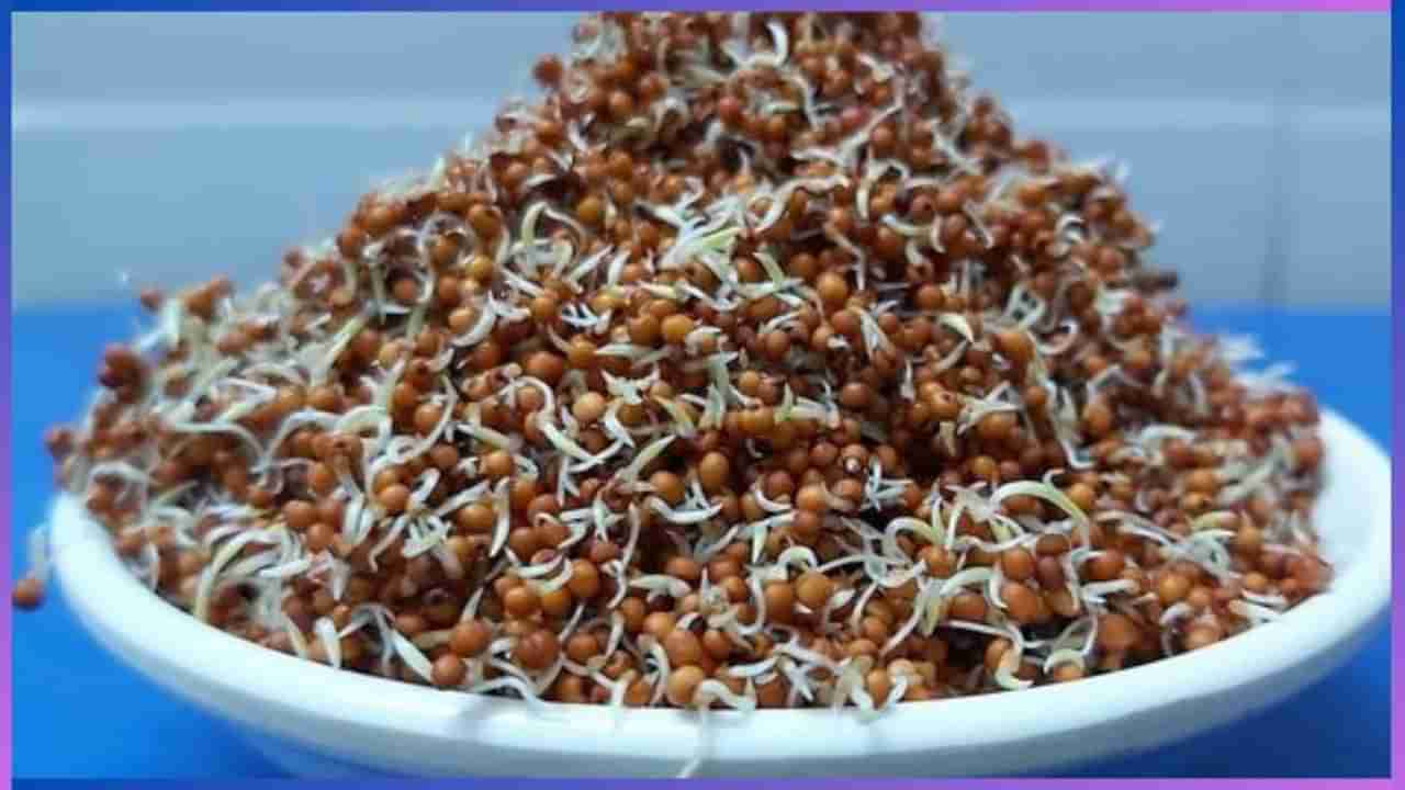 Sprouted Ragi Benefits: ಮೊಳಕೆಯೊಡೆದ ರಾಗಿ ಸೇವನೆ ಮಾಡುವುದರಿಂದ ಹೃದಯ ಬಲಗೊಳ್ಳುತ್ತದೆ