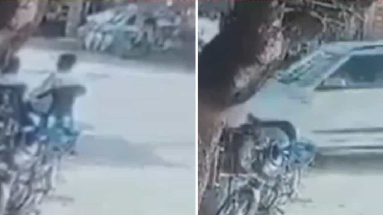 Viral Video: ಹೊಸದಾಗಿ ಉದ್ಘಾಟನೆಯಾದ ಅಂಗಡಿ ಮುಂದೆ ಕುಳಿತಿದ್ದವರಿಗೆ ಗುದ್ದಿದ ಸ್ಕಾರ್ಪಿಯೋ; ಓರ್ವ ಸಾವು, ಮೂವರಿಗೆ ಗಾಯ Viral Video: ಹೊಸದಾಗಿ ಉದ್ಘಾಟನೆಯಾದ ಅಂಗಡಿ ಮುಂದೆ ಕುಳಿತಿದ್ದವರಿಗೆ ಗುದ್ದಿದ ಸ್ಕಾರ್ಪಿಯೋ; ಓರ್ವ ಸಾವು, ಮೂವರಿಗೆ ಗಾಯ
