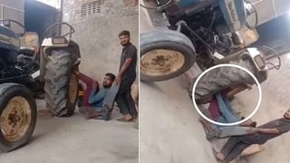 Viral Video: ಜಿರಾಫೆಯನ್ನು ಬೇಟೆಯಾಡಿದ ಸಿಂಹಿಣಿ; ವಿಡಿಯೋ ಇಲ್ಲಿದೆ ನೋಡಿ