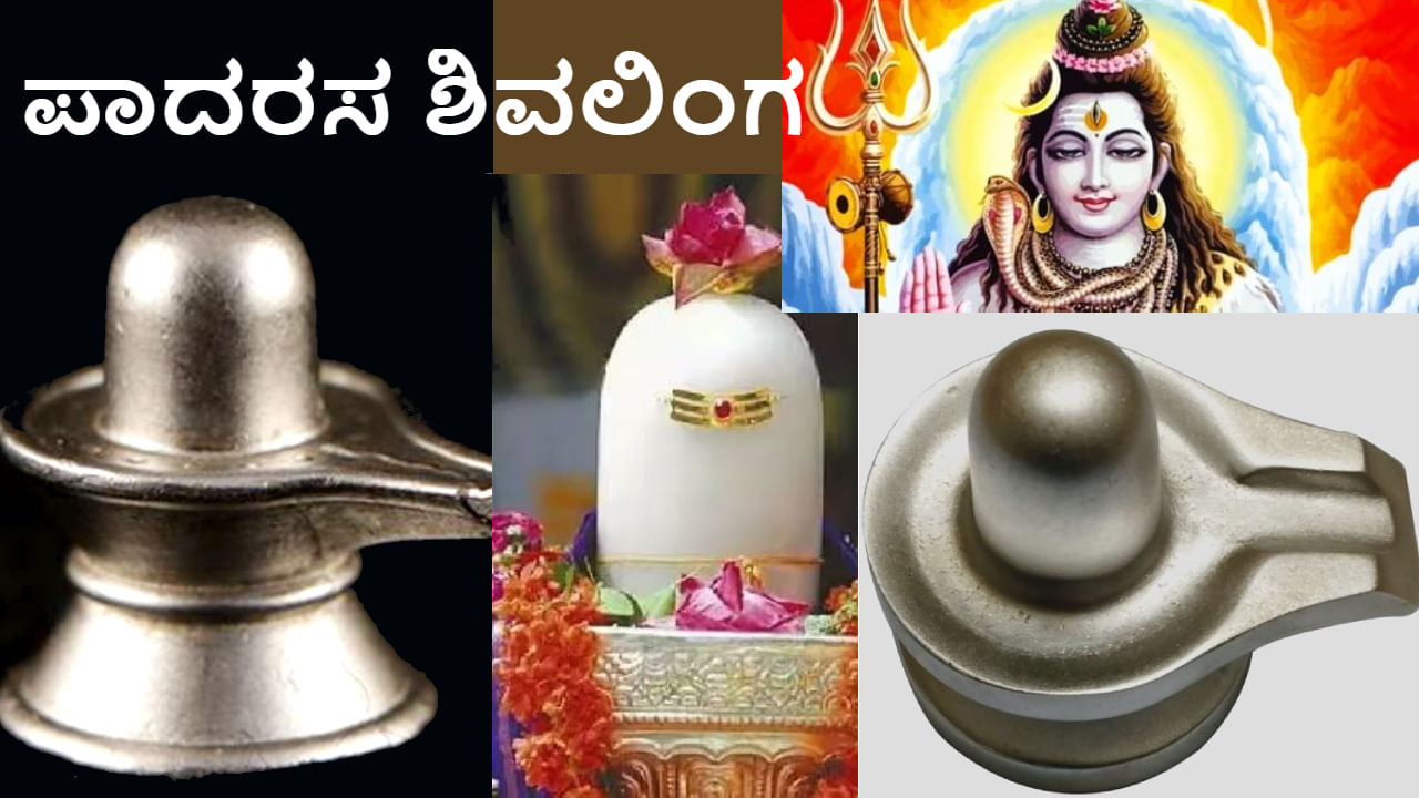 ಸ್ವಯಂಭು ಪಾದರಸದಿಂದ ಮಾಡಿದ ಶಿವಲಿಂಗಕ್ಕೆ ಪೂಜೆ ಮಾಡುವುದು ಶ್ರೇಷ್ಠ, ಇದರಿಂದ ಸಿಗುತ್ತೆ ಸಾವಿರ ಪಟ್ಟು ಪುಣ್ಯ – ಪೂಜಿಸುವುದು ಹೇಗೆ? ಸ್ವಯಂಭು ಪಾದರಸದಿಂದ ಮಾಡಿದ ಶಿವಲಿಂಗಕ್ಕೆ ಪೂಜೆ ಮಾಡುವುದು ಶ್ರೇಷ್ಠ, ಇದರಿಂದ ಸಿಗುತ್ತೆ ಸಾವಿರ ಪಟ್ಟು ಪುಣ್ಯ – ಪೂಜಿಸುವುದು ಹೇಗೆ?
