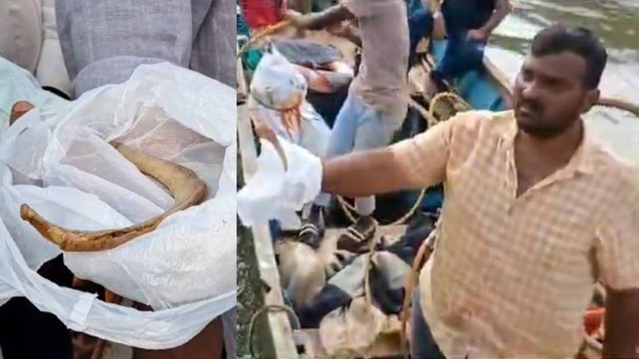 ಶಿರೂರು ಭೂಕುಸಿತ ಪ್ರಕರಣ: ಗಂಗಾವಳಿ ನದಿಯಲ್ಲಿ ಮಾನವ ದೇಹದ 2 ಮೂಳೆ ಪತ್ತೆ ಶಿರೂರು ಭೂಕುಸಿತ ಪ್ರಕರಣ: ಗಂಗಾವಳಿ ನದಿಯಲ್ಲಿ ಮಾನವ ದೇಹದ 2 ಮೂಳೆ ಪತ್ತೆ