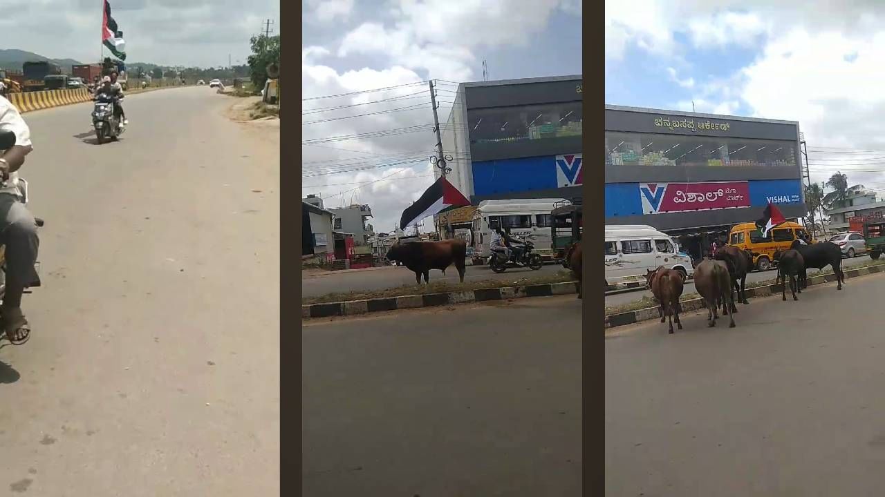 ಚಿಕ್ಕಮಗಳೂರಿನಲ್ಲಿ ಪ್ಯಾಲಿಸ್ತೀನ್‌ ಧ್ವಜ ಹಿಡಿದು ಮುಸ್ಲಿಂ ಯುವಕರ ಓಡಾಟ