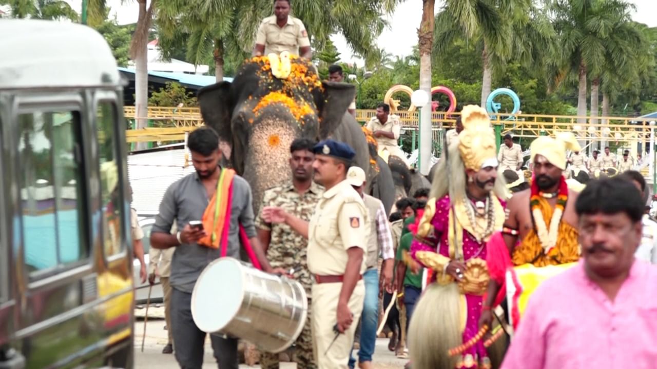 ಸಿಡಿಮದ್ದು ಸಿಡಿಸಿದ ವೇಳೆ ಇದೆ ಮೊದಲ ಬಾರಿಗೆ ದಸರಾದಲ್ಲಿ ಪಾಲ್ಗೊಂಡಿದ್ದ  ಏಕಲವ್ಯ ಮತ್ತು ಈರಣ್ಯ ಆನೆಗಳು ಸ್ವಲ್ಪ ಮಟ್ಟಿಗೆ ವಿಚಲಿತಗೊಂಡವು. ಉಳಿದ ಆನೆಗಳು ಸದ್ದಿಗೆ ಬೆದರದೆ ಆರಾಮಗಿ ನಿಂತಿದ್ದವು. ಇನ್ನು ಸಿಡಿಮದ್ದು ಶಬ್ದಕ್ಕೆ ಕೆಲವು ಕುದುರೆಗಳು ಬೆಚ್ಚಿದರೆ ಬಹುತೇಕ ಕುದುರೆಗಳು ಬೆದರದೆ ಉತ್ತಮವಾಗಿ ಸ್ಪಂದಿಸಿದ್ವು. ಮೊದಲ ಭಾರೀ ಸದ್ದಿನ ತಾಲೀಮಿನಲ್ಲೇ ಯಾವುದೇ ತೊಂದರೆಯಾಗಲಿಲ್ಲ. ದಸರೆಯವರೆಗೂ ಇನ್ನು 2 ಬಾರಿ ಈ ರೀತಿ ತಾಲೀಮು ನೀಡಲಾಗುತ್ತದೆ.