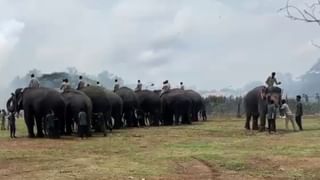 ತಿರುಪತಿ ಲಡ್ಡು ಇತಿಹಾಸ ಮತ್ತು ಉತ್ಪಾದನೆ: ಪವಿತ್ರ ಪ್ರಸಾದ ಕುರಿತು ಕುತೂಹಲಕಾರಿ ಸಂಗತಿಗಳು ಇಲ್ಲಿವೆ