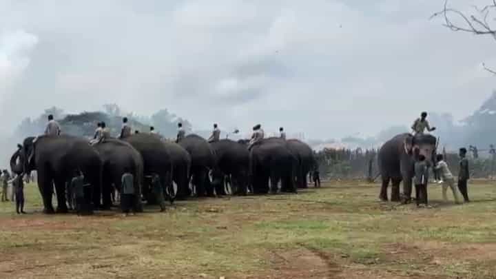 ಮೈಸೂರು ದಸರಾ: ಸಿಡಿಮದ್ದು ತಾಲೀಮಿನ ವೇಳೆ ಬೆಚ್ಚಿದ ಹಿರಣ್ಯ ಆನೆ, ಮಾವುತನ ಸಾಹಸದಿಂದ ತಪ್ಪಿದ ಅನಾಹುತ ಮೈಸೂರು ದಸರಾ: ಸಿಡಿಮದ್ದು ತಾಲೀಮಿನ ವೇಳೆ ಬೆಚ್ಚಿದ ಹಿರಣ್ಯ ಆನೆ, ಮಾವುತನ ಸಾಹಸದಿಂದ ತಪ್ಪಿದ ಅನಾಹುತ