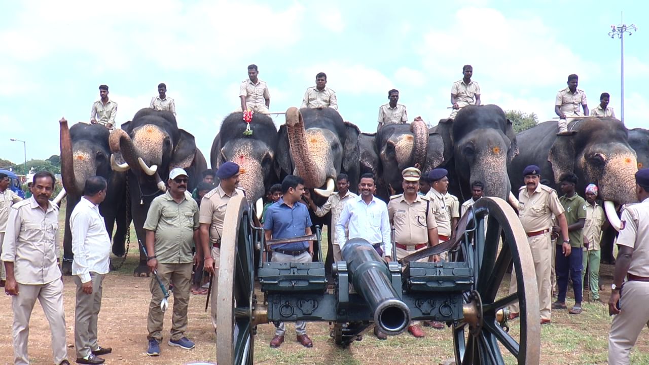 ಅರಮನೆಯ ಮುಂಭಾಗ ವಸ್ತು ಪ್ರದರ್ಶನ ಆವರಣದಲ್ಲಿ ಆನೆಗಳಿಗೆ ಈ ತರಬೇತಿ ನೀಡಲಾಯಿತು. ಮೊದಲ ಸಲ ಒಟ್ಟು 14 ಆನೆಗಳು, 43 ಕುದುರೆಗಳು ತಾಲೀಮಿನಲ್ಲಿ ಭಾಗವಹಿಸಿದ್ದವು. ಆದರೆ ಎರಡನೇ ಬಾರಿ ಕೇವಲ 9 ಆನೆಗಳು ಹಾಗೂ 28 ಕುದುರೆಗಳು ಮಾತ್ರ ಭಾಗಿಯಾಗಿದ್ದವು. ಮೊದಲ ಬಾರಿಯ ಸಿಡಿಮದ್ದಿನ ತಾಲೀಮಿನಲ್ಲಿ ವಿಚಲಿತವಾದ ಆನೆಗಳನ್ನು ಇಂದು ಕರೆ ತಂದಿರಲಿಲ್ಲ.