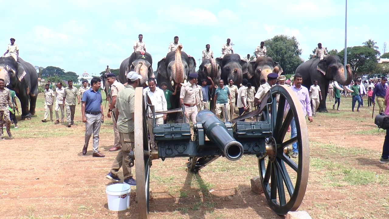 Mysuru Dasara 2024 Gajapade Talimu, elefantes e cavalos em treinamento de fogos de artifício, veja as fotos aqui