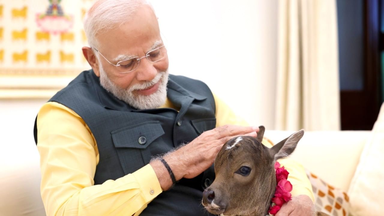 ಮೋದಿ ಕುಟುಂಬಕ್ಕೆ ಹೊಸ ಸದಸ್ಯೆ; ದೀಪಜ್ಯೋತಿಗೆ ಮುತ್ತಿಡುವ ವಿಡಿಯೊ ಶೇರ್ ಮಾಡಿದ ಪ್ರಧಾನಿ