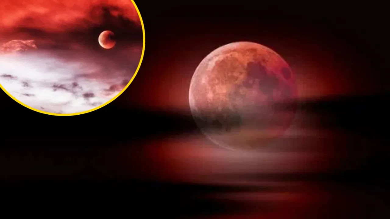 Blood Moon: ಈ ಬಾರಿ ಅಪರೂಪದ ಬ್ಲಡ್ ಮೂನ್ ನೋಡಿಬಿಡಿ! ಇಲ್ಲದಿದ್ದರೆ ಅದ ನೋಡಲು ಮತ್ತೆ 24 ವರ್ಷ ಕಾಯಬೇಕು Blood Moon: ಈ ಬಾರಿ ಅಪರೂಪದ ಬ್ಲಡ್ ಮೂನ್ ನೋಡಿಬಿಡಿ! ಇಲ್ಲದಿದ್ದರೆ ಅದ ನೋಡಲು ಮತ್ತೆ 24 ವರ್ಷ ಕಾಯಬೇಕು