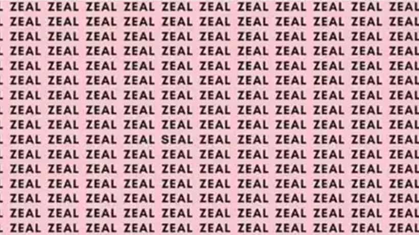Optical Illusion: ZEAL ಮಧ್ಯೆ ಅಡಗಿರುವ SEAL ಕಂಡು ಹುಡುಕಲು ಸಾಧ್ಯವೇ?