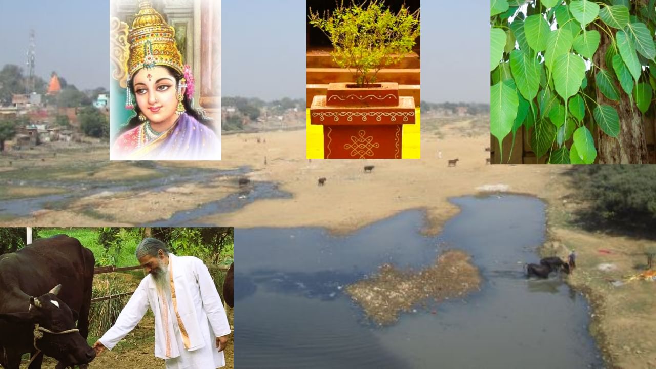 Peepal tree never wilts: ಅರಳಿ ಮರ ಎಂದಿಗೂ ಬಾಡುವುದಿಲ್ಲ, ಆ ವರ ಪಡೆಯಲು ಅರಳಿಮರ ಮಾಡಿದ್ದೇನು ಗೊತ್ತಾ? ಸೀತೆ ಕೊಟ್ಟ ವರವೇನು? Peepal tree never wilts: ಅರಳಿ ಮರ ಎಂದಿಗೂ ಬಾಡುವುದಿಲ್ಲ, ಆ ವರ ಪಡೆಯಲು ಅರಳಿಮರ ಮಾಡಿದ್ದೇನು ಗೊತ್ತಾ? ಸೀತೆ ಕೊಟ್ಟ ವರವೇನು?