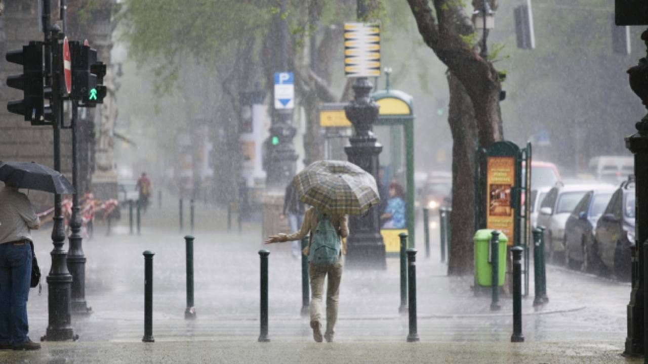 Karnataka Rains: ಕರ್ನಾಟಕದ 9 ಜಿಲ್ಲೆಗಳಲ್ಲಿ ಮುಂದಿನ 24 ಗಂಟೆಗಳಲ್ಲಿ ಮಳೆ ಸಾಧ್ಯತೆ