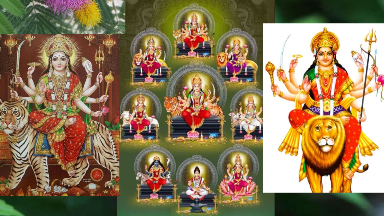 Shami Holy Tree and Vijaya Dashami Puja: ಹಿಂದೂ ಧರ್ಮದಲ್ಲಿ, ಜ್ಯೋತಿಷ್ಯದಲ್ಲಿ ಮರಗಳು ಮತ್ತು ಸಸ್ಯಗಳನ್ನು ಬಹಳ ಅದೃಷ್ಟಶಾಲಿ, ಅದ್ಭುತ ಮಾಂತ್ರಿಕವೆಂದು ಪರಿಗಣಿಸಲಾಗುತ್ತದೆ. ಧಾರ್ಮಿಕ ದೃಷ್ಟಿಕೋನದಿಂದ ಕೆಲವು ಮರಗಳು ಮತ್ತು ಸಸ್ಯಗಳು ಬಹಳ ಮುಖ್ಯ. ಅವು ಜಾತಕದಲ್ಲಿ ಗ್ರಹ ಮತ್ತು ನಕ್ಷತ್ರಗಳ ದುಷ್ಪರಿಣಾಮಗಳನ್ನು ಕಡಿಮೆ ಮಾಡುತ್ತವೆ. ಈ ಸಸ್ಯಗಳಲ್ಲಿ ಒಂದು ಶಮೀ ವೃಕ್ಷ ( ಬನ್ನೀ ಮರ). ಶರನ್ನವರಾತ್ರಿ ಹಬ್ಬಗಳಲ್ಲಿ ದುರ್ಗಾದೇವಿಗೆ ಕೆಂಪು ಹೂವುಗಳೊಂದಿಗೆ  ಶಮ್ಮಿ ಎಲೆಗಳನ್ನು ಅರ್ಪಿಸಿದರೆ ಎಲ್ಲಾ ತೊಂದರೆಗಳು ದೂರವಾಗುತ್ತವೆ ಎಂಬ ನಂಬಿಕೆಯಿದೆ. ನವರಾತ್ರಿ ಪರ್ವದಲ್ಲಿ ದುರ್ಗಾ ದೇವಿಯನ್ನು ಶಮಿ ಎಲೆಗಳಿಂದ ಪೂಜಿಸಲಾಗುತ್ತದೆ.
