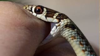 ರಾಜಸ್ಥಾನ ಸರ್ಕಾರದ ಮಹತ್ವದ ನಿರ್ಧಾರ; ಪೊಲೀಸ್ ನೇಮಕಾತಿಯಲ್ಲಿ ಮಹಿಳೆಯರಿಗೆ ಶೇ. 33ರಷ್ಟು ಮೀಸಲಾತಿ