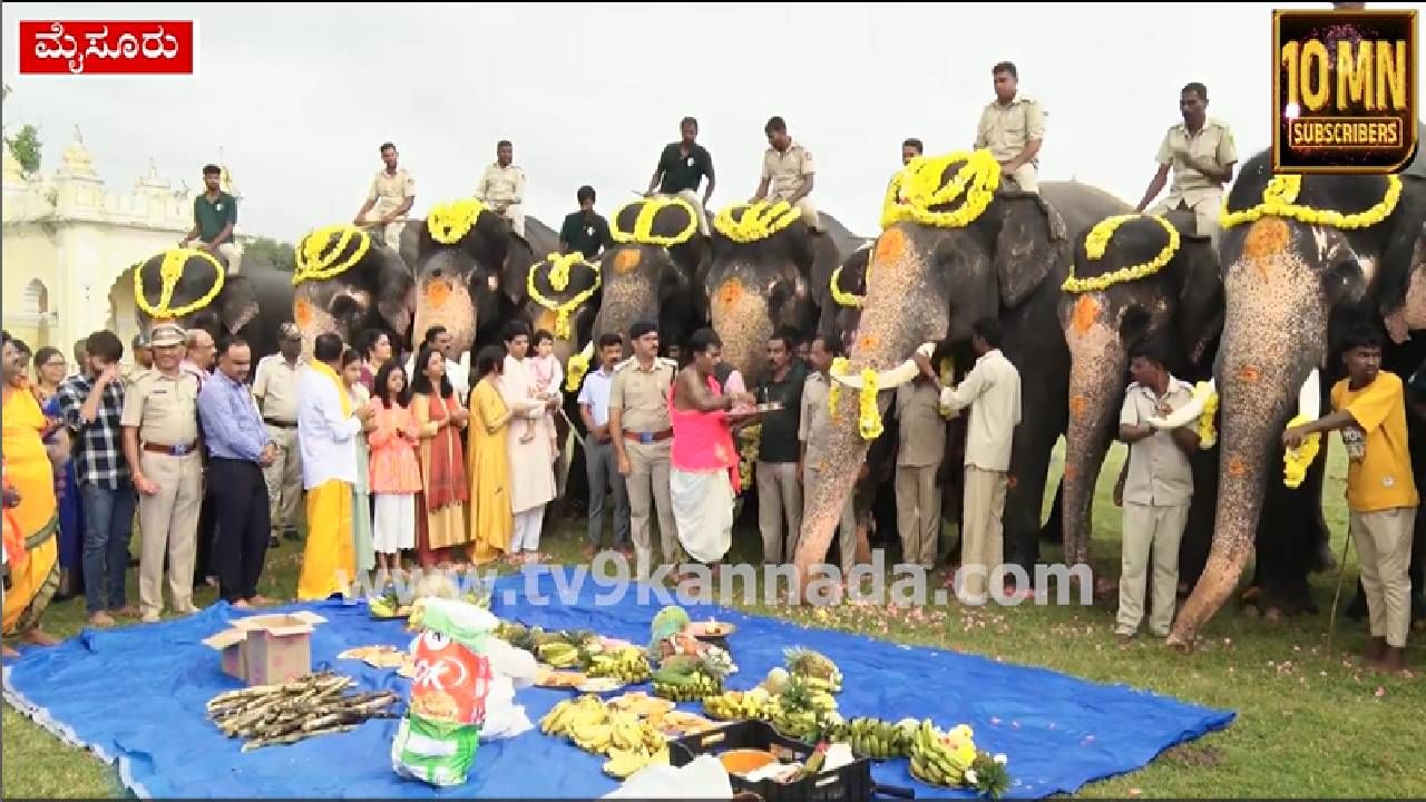 ದಸರಾ ಗಜಪಡೆಗೆ ಅರಮನೆ ಆವರಣದಲ್ಲಿ ಗಣೇಶ ಹಬ್ಬದ ವಿಶೇಷ ಪೂಜೆ