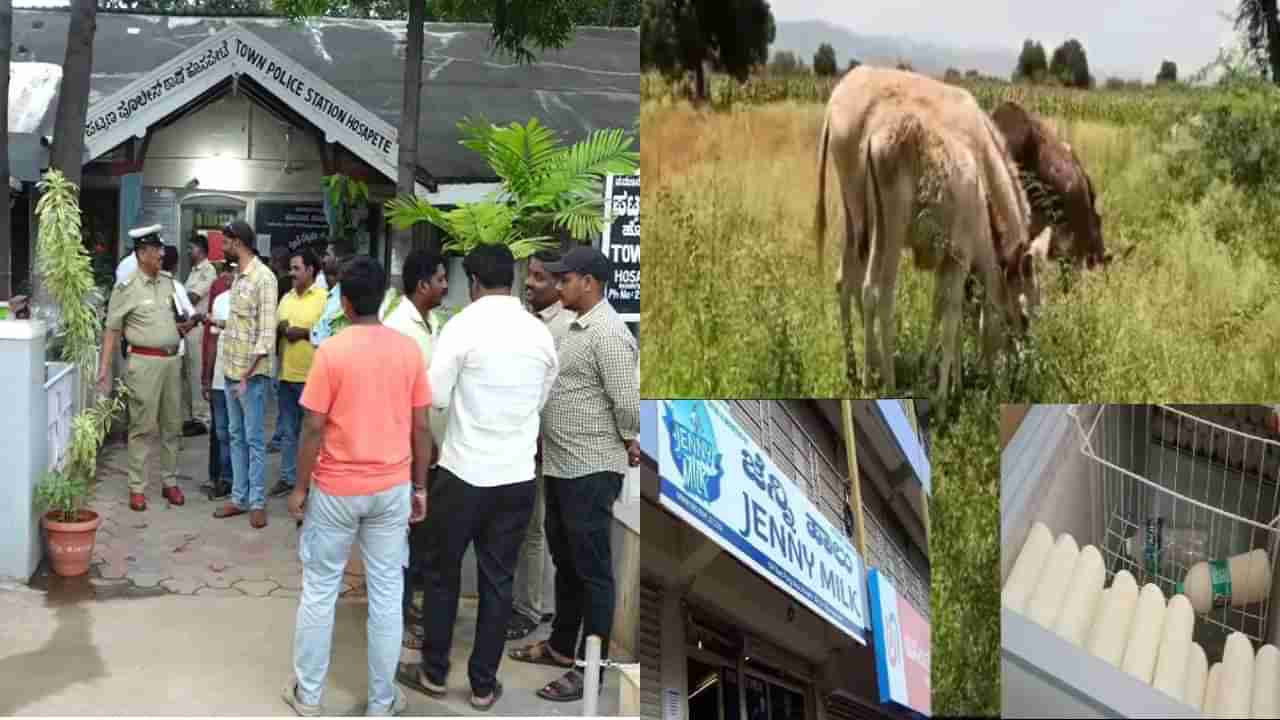 ನೂರಾರು ಕತ್ತೆ ಸೇಲ್‌ ಮಾಡಿದ್ದ ಕಂಪನಿಗೆ ಬೀಗ: ಕತ್ತೆಗಳನ್ನ ನಂಬಿ ಬಂಡವಾಳ ಹೂಡಿದ್ದವರು ಕಂಗಾಲು!