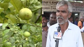 ತಿರುಪತಿ ಲಡ್ಡು ವಿವಾದ: ಜಗನ್​ ಮೋಹನ್​ ರೆಡ್ಡಿಯನ್ನ ಬಂಧಿಸಿ ಎಂದ ಯತ್ನಾಳ್​