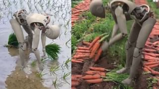 Viral: ಎಂಥಾ ಅವಸ್ಥೆ ಮಾರ್ರೆ; ತೆರೆದ ಬಾವಿಯ ಅಂಚಲ್ಲಿ ಕುಳಿತು ಮಗುವನ್ನು ಕೈಯಲ್ಲಿ ಹಿಡಿದು ರೀಲ್ಸ್‌ ಮಾಡಿದ ಮಹಿಳೆ