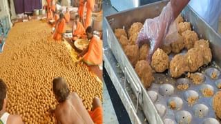 Tirupati Laddu: ತಿರುಪತಿ ಲಡ್ಡಿನಲ್ಲಿ ಪ್ರಾಣಿಗಳ ಕೊಬ್ಬು, ತುಪ್ಪದ ಗುಣಮಟ್ಟ ಪರೀಕ್ಷೆಗೆ ಸಮಿತಿ ರಚನೆ