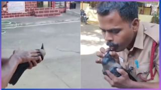 ಬಡವರ ಅಕ್ಕಿ ಬಡವರಿಗೆ ಹೋಗ್ಬೇಕು ಅಷ್ಟೆ, ಅನ್ನ ಭಾಗ್ಯ ಅಕ್ಕಿ ಕಳ್ಳ ಮಾರಾಟ ಮಾಡುವಂತಿಲ್ಲ ಎಚ್ಚರಿಕೆ ನೀಡಿದ ಕರ್ನಾಟಕ ಹೈಕೋರ್ಟ್​