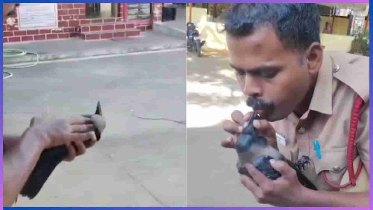 Viral: ಕರೆಂಟ್‌ ಶಾಕ್​​​ನಿಂದ ಪ್ರಜ್ಞೆ ತಪ್ಪಿ ಬಿದ್ದ ಕಾಗೆ, ಸಿಪಿಆರ್‌ ನೀಡಿ ಪ್ರಾಣ ಉಳಿಸಿದ ಅಗ್ನಿ ಶಾಮಕ ದಳದ ಸಿಬ್ಬಂದಿ