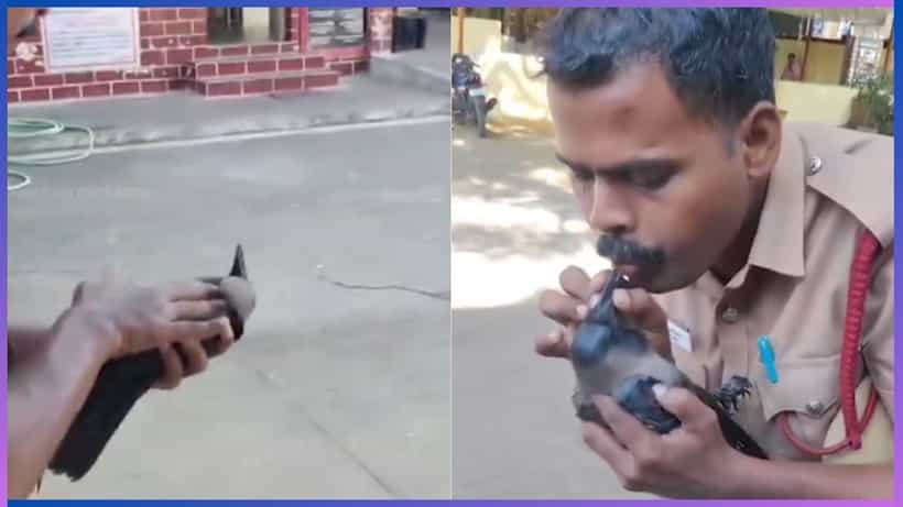 Viral: ಕರೆಂಟ್ ಶಾಕ್ನಿಂದ ಪ್ರಜ್ಞೆ ತಪ್ಪಿ ಬಿದ್ದ ಕಾಗೆ, ಸಿಪಿಆರ್ ನೀಡಿ ಪ್ರಾಣ ಉಳಿಸಿದ ಅಗ್ನಿ ಶಾಮಕ ದಳದ ಸಿಬ್ಬಂದಿ