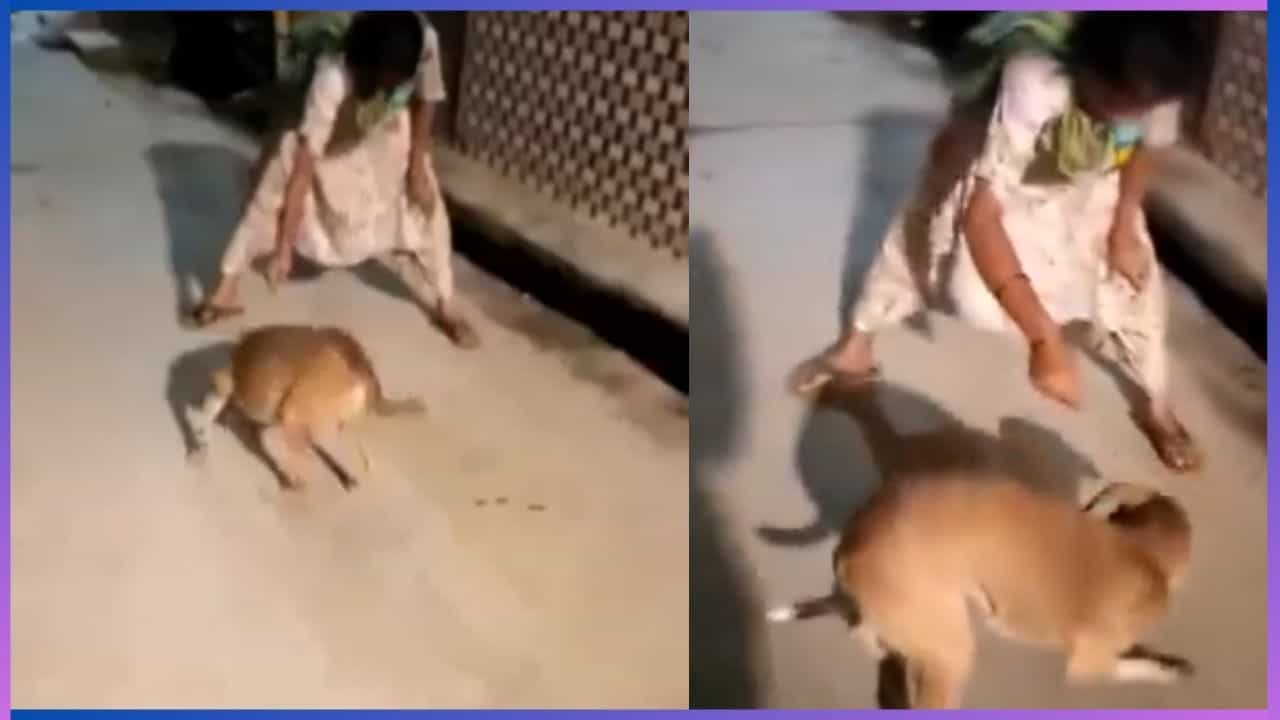 Viral: ಇಲಿಯನ್ನು ದಾರಕ್ಕೆ ಕಟ್ಟಿ ನಾಯಿಗೆ ತಿನ್ನಿಸಿದ ಮಹಿಳೆ; ವಿಡಿಯೋ ವೈರಲ್ Viral: ಇಲಿಯನ್ನು ದಾರಕ್ಕೆ ಕಟ್ಟಿ ನಾಯಿಗೆ ತಿನ್ನಿಸಿದ ಮಹಿಳೆ; ವಿಡಿಯೋ ವೈರಲ್