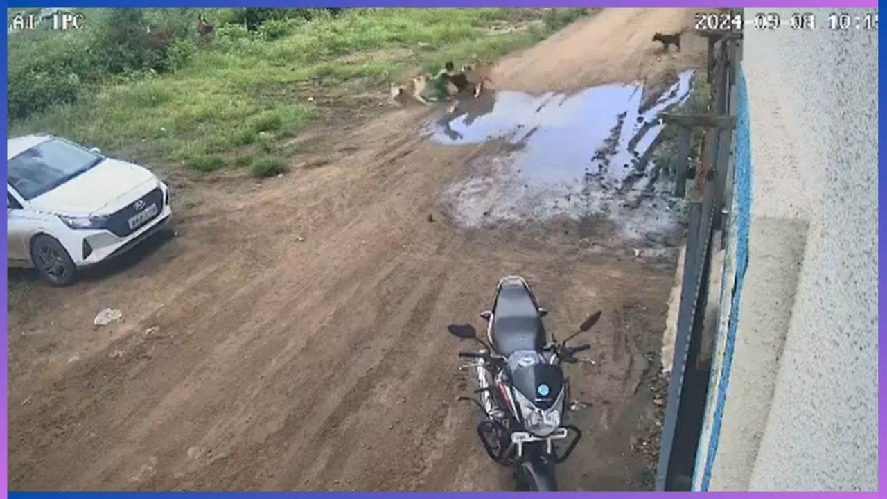 Viral: 5 ವರ್ಷದ ಮಗುವಿನ ಮೇಲೆ ಬೀದಿ ನಾಯಿಗಳ ಡೆಡ್ಲಿ ಅಟ್ಯಾಕ್; ಈ ದೃಶ್ಯ ನೋಡಿದ್ರೆ ಎದೆ ಝಲ್‌ ಎನ್ನುತ್ತೆ