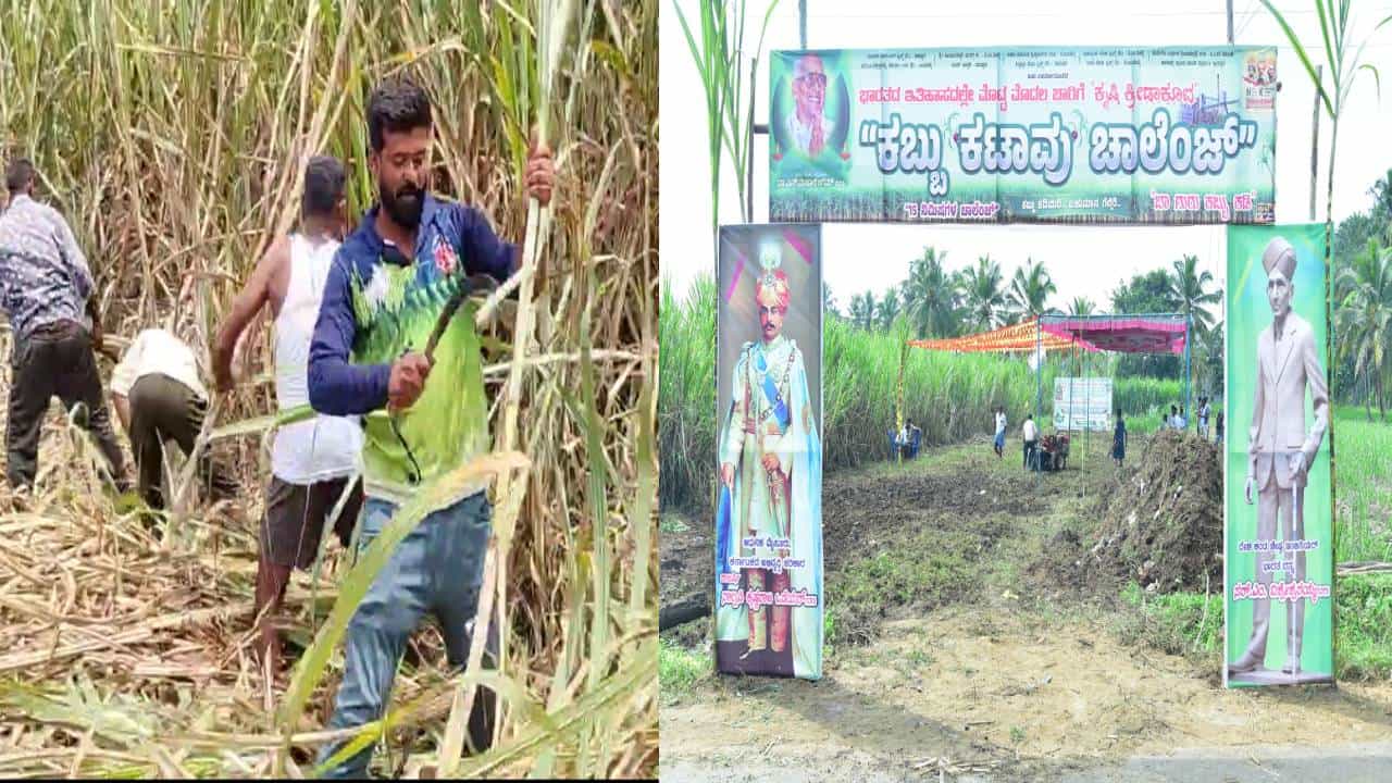 ಸಕ್ಕರೆ ನಗರಿ ಮಂಡ್ಯದಲ್ಲಿ ಈ ಬಾರಿ ಡಿಸೆಂಬರ್ನಲ್ಲಿ 87ನೇ ಅಖಿಲ ಭಾರತ ಕನ್ನಡ ಸಾಹಿತ್ಯ ಸಮ್ಮೆಳನವನ್ನ ಆಯೋಜನೆ ಮಾಡಲಾಗಿದೆ. ಡಿಸೆಂಬರ್ 21, 22, 23 ರಂದು ಸಮ್ಮೇಳನ ನಡೆಯುತ್ತಿದೆ. ಸಮ್ಮೇಳನವನ್ನ ಅರ್ಥಪೂರ್ಣವಾಗಿ ಆಚರಣೆ ಮಾಡಲು ಮಂಡ್ಯ ಜಿಲ್ಲಾಡಳಿತ ಹಾಗೂ ಕನ್ನಡ ಸಾಹಿತ್ಯ ಪರಿಷತ್ ಈಗಿನಿಂದಲೇ ಎಲ್ಲ ರೀತಿಯ ತಯಾರಿ ಮಾಡುತ್ತಿದೆ.