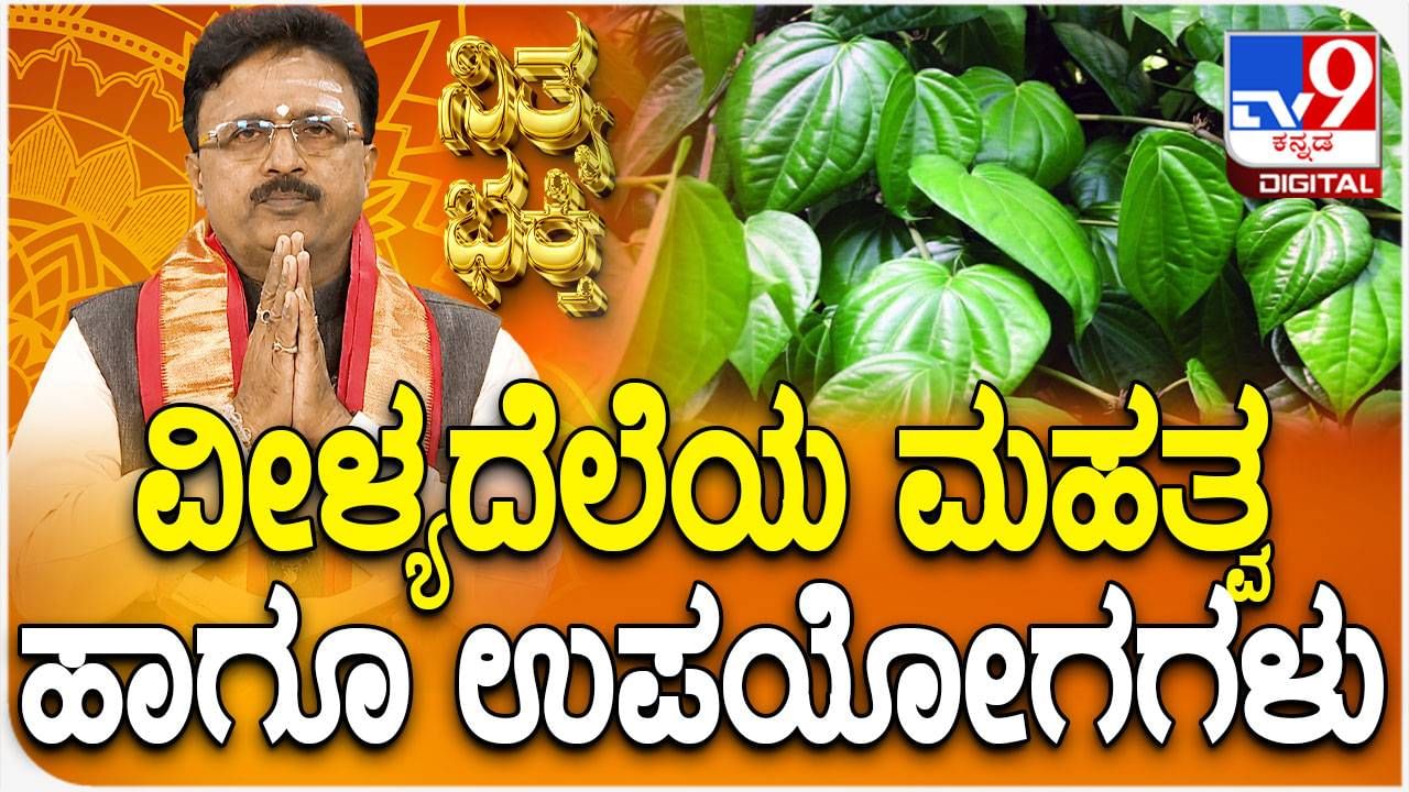 Daily Devotional: ವೀಳ್ಯದೆಲೆಯ ಮಹತ್ವ ಹಾಗೂ ಅದರ ಉಪಯೋಗಗಳು ತಿಳಿಯಿರಿ