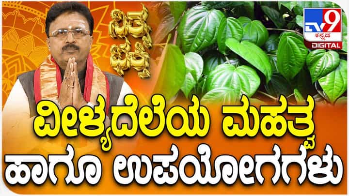 Daily Devotional: ವೀಳ್ಯದೆಲೆಯ ಮಹತ್ವ ಹಾಗೂ ಅದರ ಉಪಯೋಗಗಳು ತಿಳಿಯಿರಿ Daily Devotional: ವೀಳ್ಯದೆಲೆಯ ಮಹತ್ವ ಹಾಗೂ ಅದರ ಉಪಯೋಗಗಳು ತಿಳಿಯಿರಿ