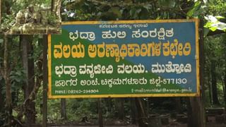 ದಸರಾ ರಜೆ ವಿವಾದ: ರಜೆ ಕಡಿತದ ಬಗ್ಗೆ ಖಾಸಗಿ ಶಾಲೆಗಳು ಹೇಳಿದ್ದೇನು?